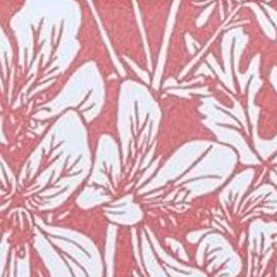 Rose Geranium