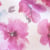 Pansy