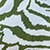 Khaki Zebra