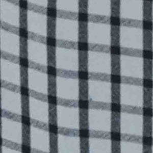 Blue/White Check