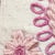Mixed Floral