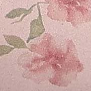 Blush Floral