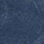 French Navy