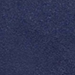 French Navy