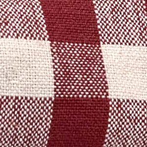 Winter Berry Gingham