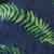Tropical Leaf