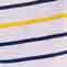 Multi Stripe