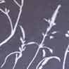 Slate Grey