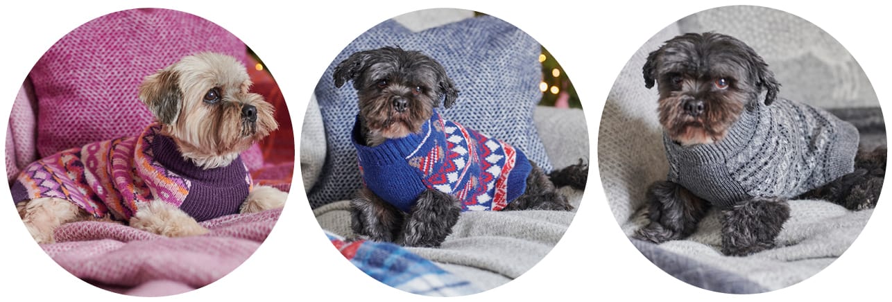 Lambswool Fairisle Knit Dog Sweater