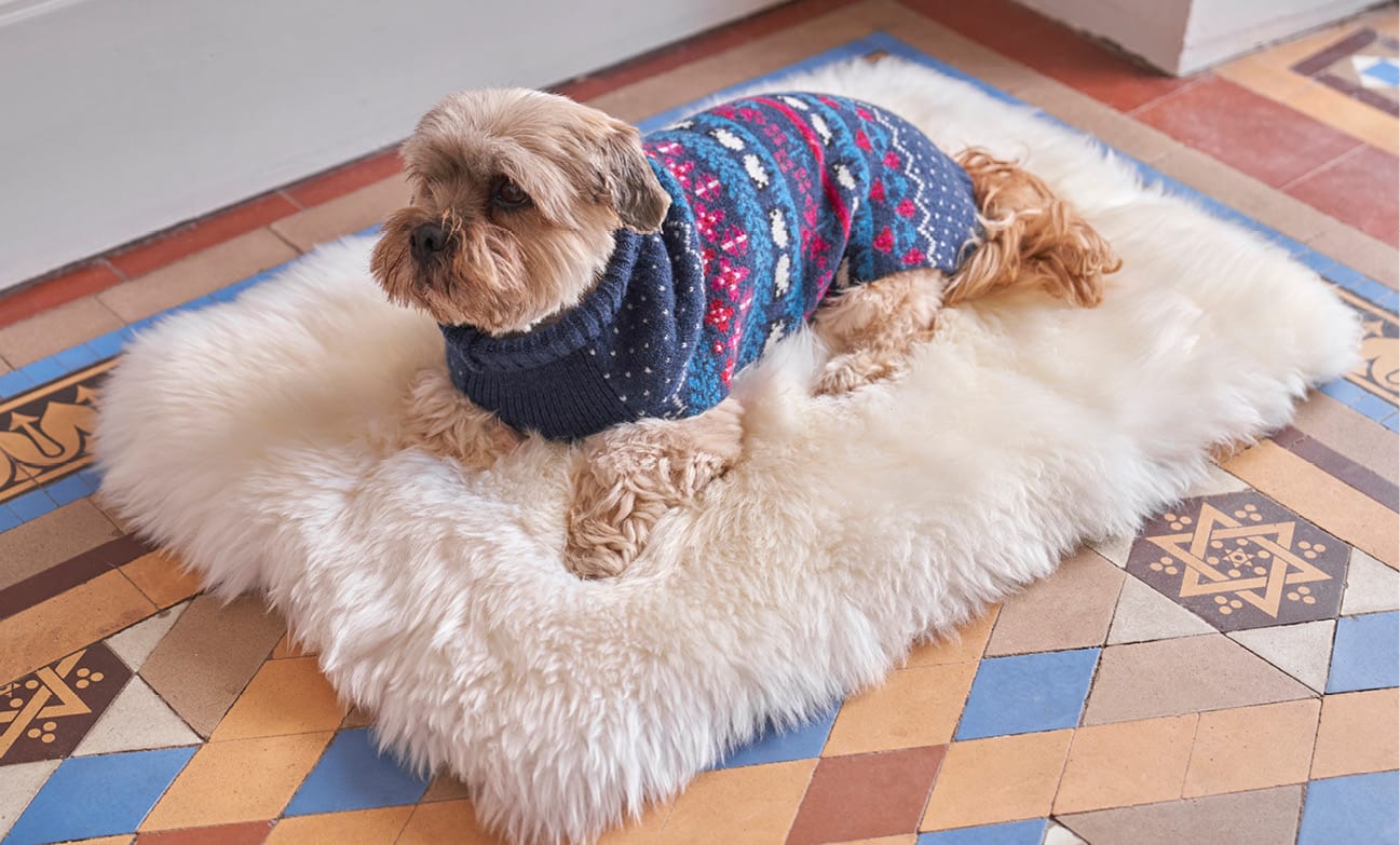 Lambswool Fairisle Knit Dog Sweater