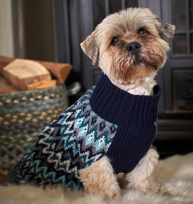 Lambswool Fairisle Knit Dog Sweater