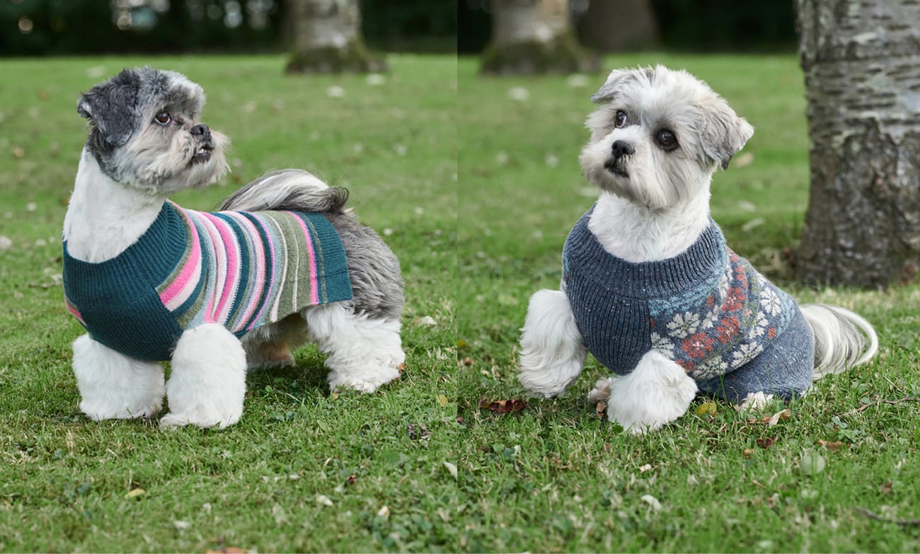 Lambswool Fairisle Knit Dog Sweater