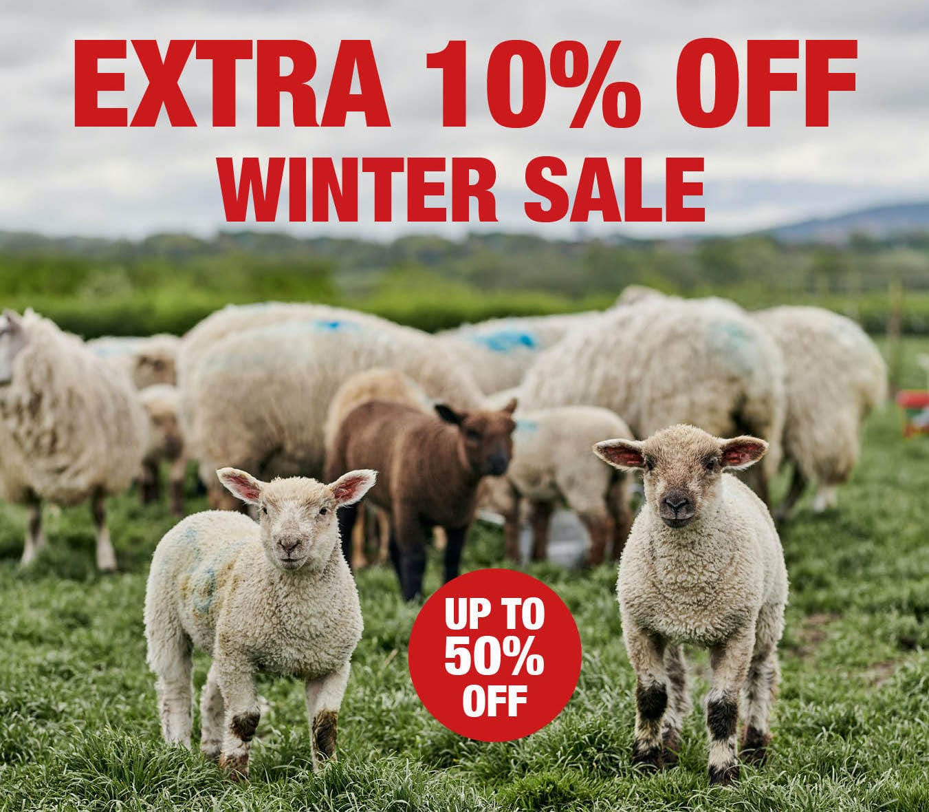 Winter Sale